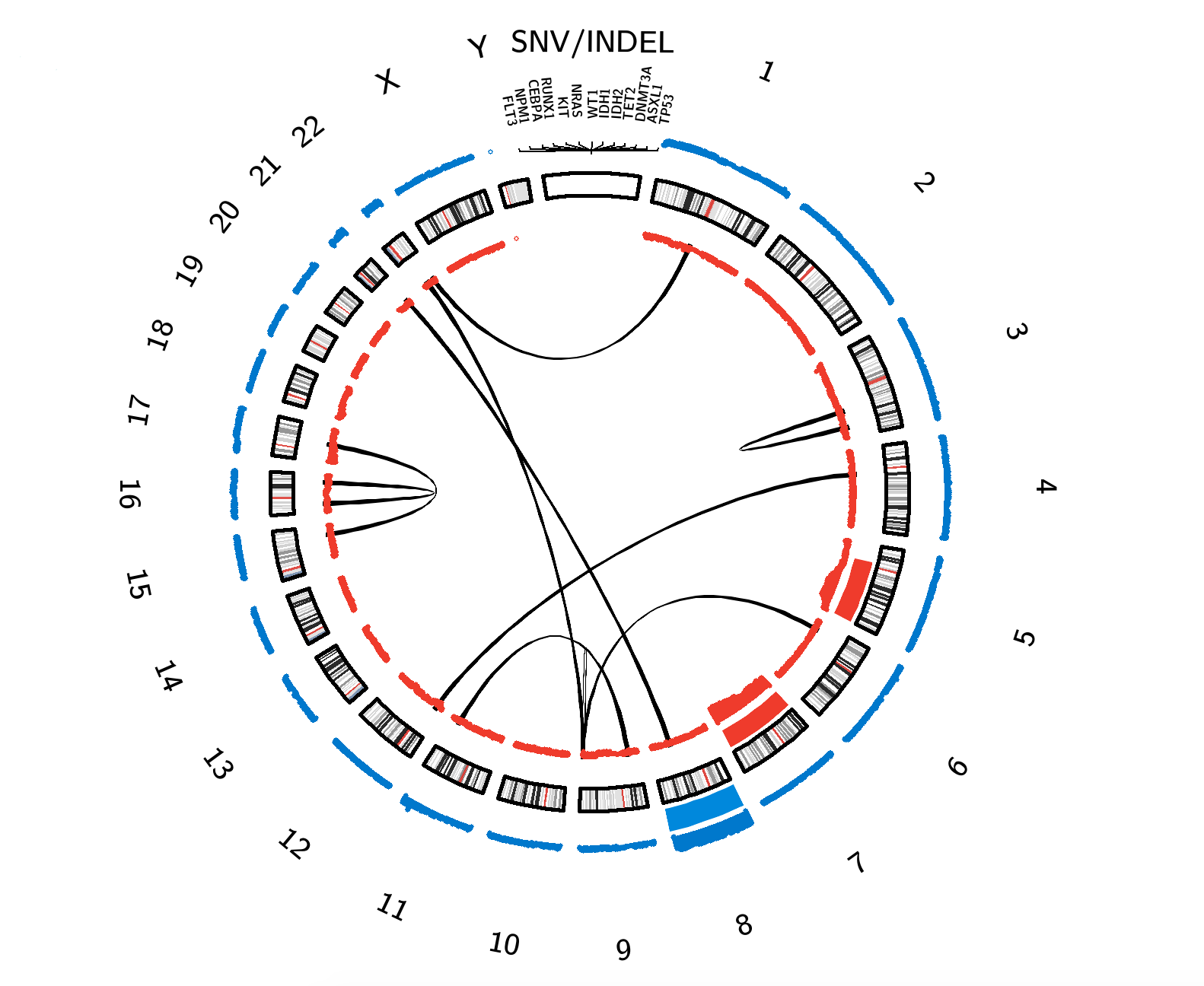 AML Circos Plot. Click on interactive content to be linked to related pages. Lines = Structural Rearrangements (between connected chromosomes); Gene Names = Gene-Specific Alterations; Red Bars = Copy Number Losses; Blue Bars = Copy Number Gains. The thickness of the red and blue bars correlates with the corresponding copy number change frequency (specific interactive copy number information in the plot.ly graph below).