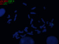 Thumbnail for version as of 12:27, 10 March 2025