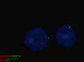 Thumbnail for version as of 12:30, 10 March 2025